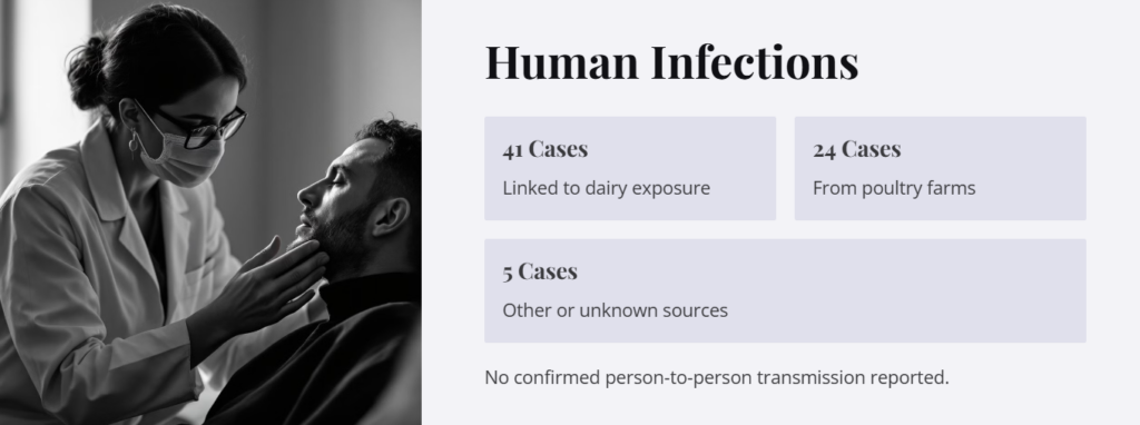 Bird Flu, Current Situation, Risks, and Prevention - 4 Bird Flu Human Infections