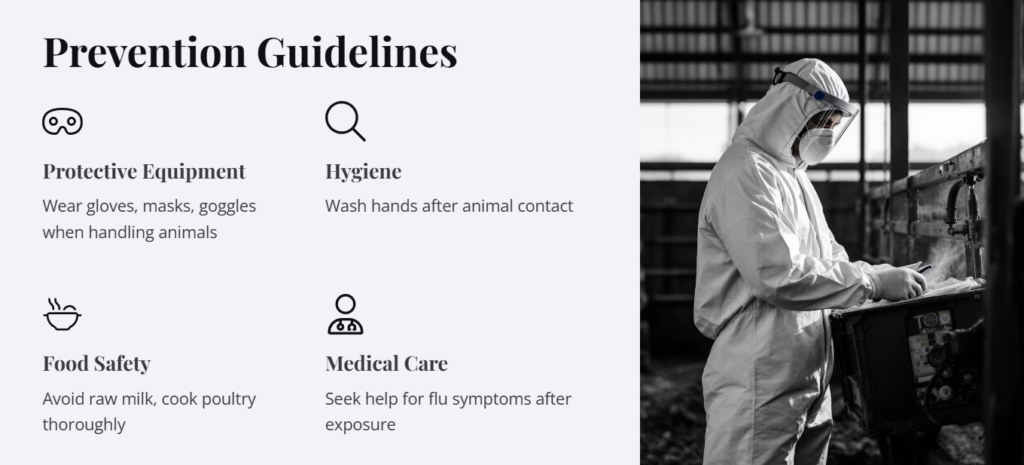 Bird Flu, Current Situation, Risks, and Prevention - 7 Bird Flu Prevention Guidelines