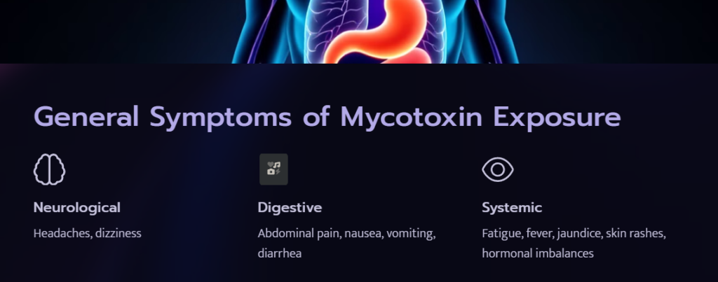 tophealthscience mycotoxins the hidden toxins lurking in everyday foods mycotoxins the hidden toxins lurking in everyday foods 6 Mycotoxins: The Hidden Toxins Lurking in Everyday Foods Digestive, Nutrition & Diet