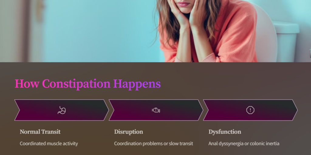 tophealthscience understanding constipation causes symptoms and treatment strategies understanding constipation causes symptoms and treatment strategies 4 Constipation: Why am I always bloated? Digestive